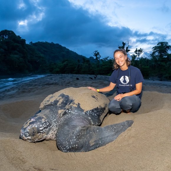 Meet your Posher, Ashleigh - Picture 1 of 1